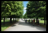 Viena -iunie-2011 - Bogdan Balaban